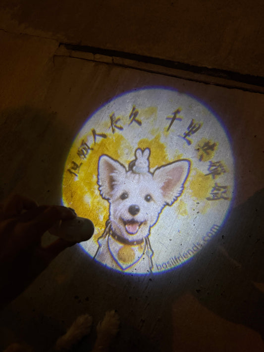 Custom Spotlight lens projecting Mid-Autumn poem "但愿人长久，千里共婵娟" onto dark pavement — warm amber glow, autumn night walk, basil & friends.
