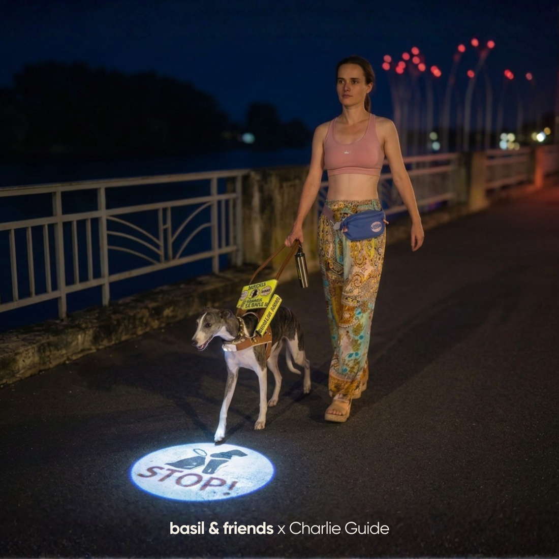 How to Set Boundaries Elegantly: The Ultimate Night Safety Guide for Service Dogs