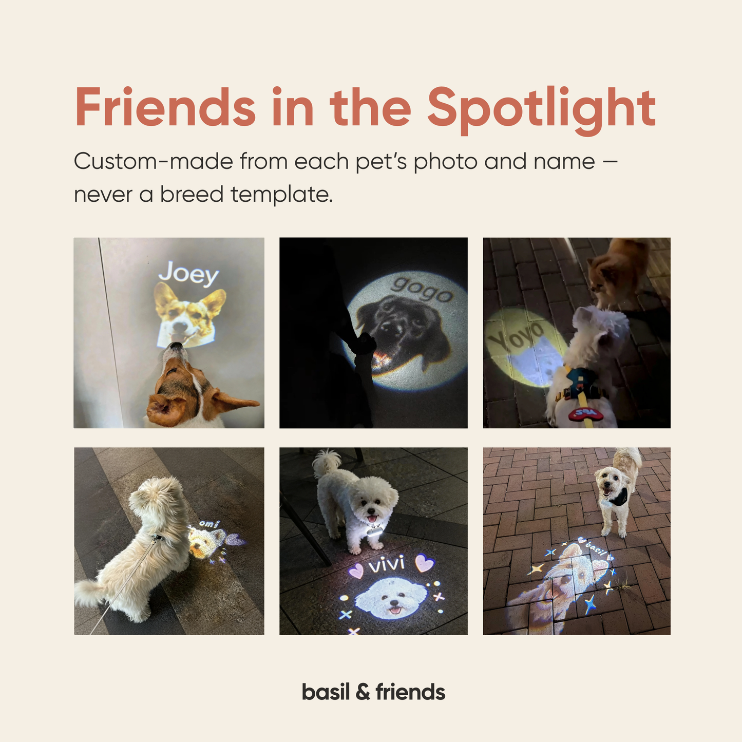 Promotional graphic for 'Friends in the Spotlight' service by basil & friends, featuring dogs with personalized name projections.
