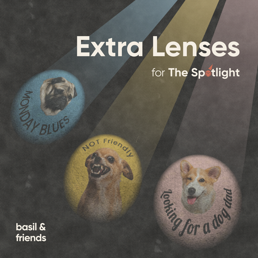 Extra custom lenses for The Spotlight collar projector by basil & friends, featuring personalized pet portraits and funny nicknames.