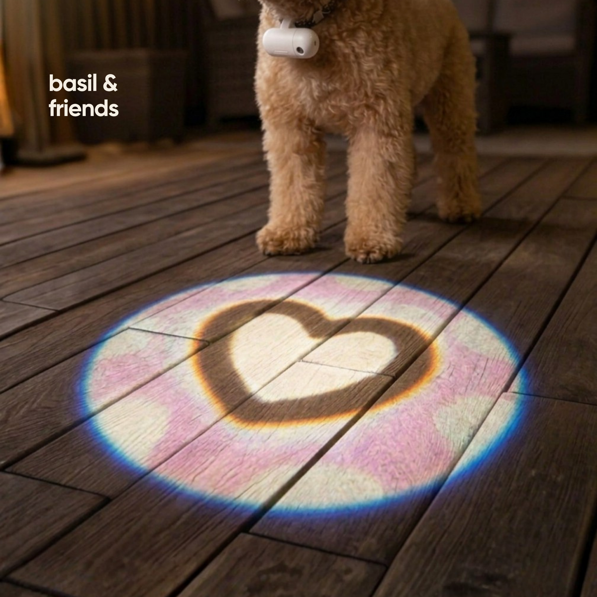 A small tan dog stands on a dark wooden floor holding a white ball in its mouth, while a heart-shaped projection of the ball is cast on the floor below. The text 'basil & friends' appears in the upper left.