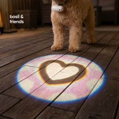 A small tan dog stands on a dark wooden floor holding a white ball in its mouth, while a heart-shaped projection of the ball is cast on the floor below. The text 'basil & friends' appears in the upper left.