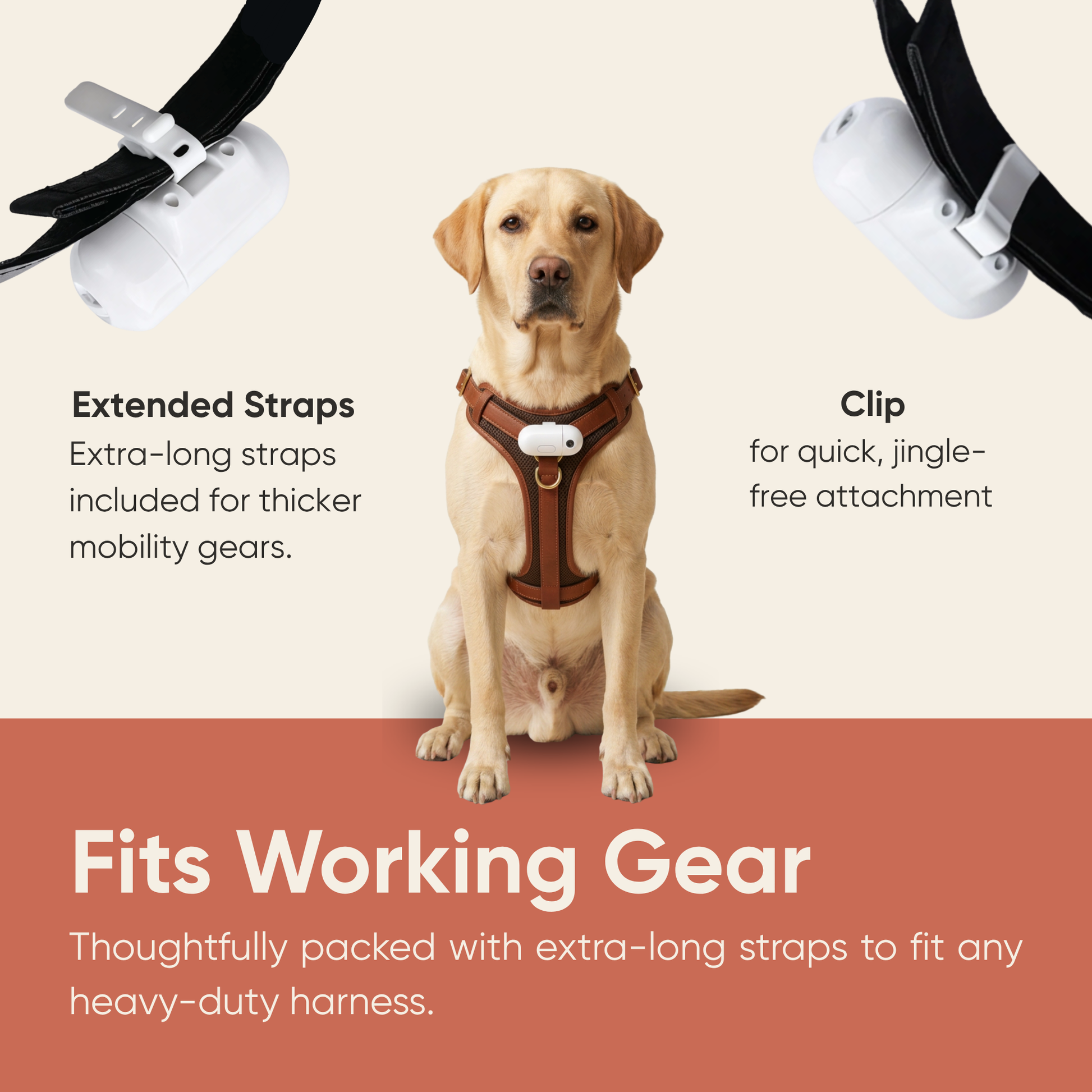 A yellow Labrador wearing a heavy-duty mobility harness with The Spotlight attached via extended straps. Designed to fit thick professional service dog gear.