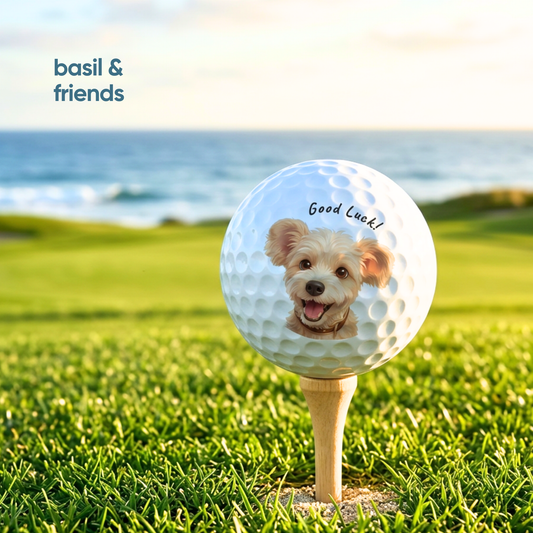 Custom pet golf ball featuring a cute dog photo on a wooden tee on a green fairway, a perfect personalized golf gift by basil and friends.