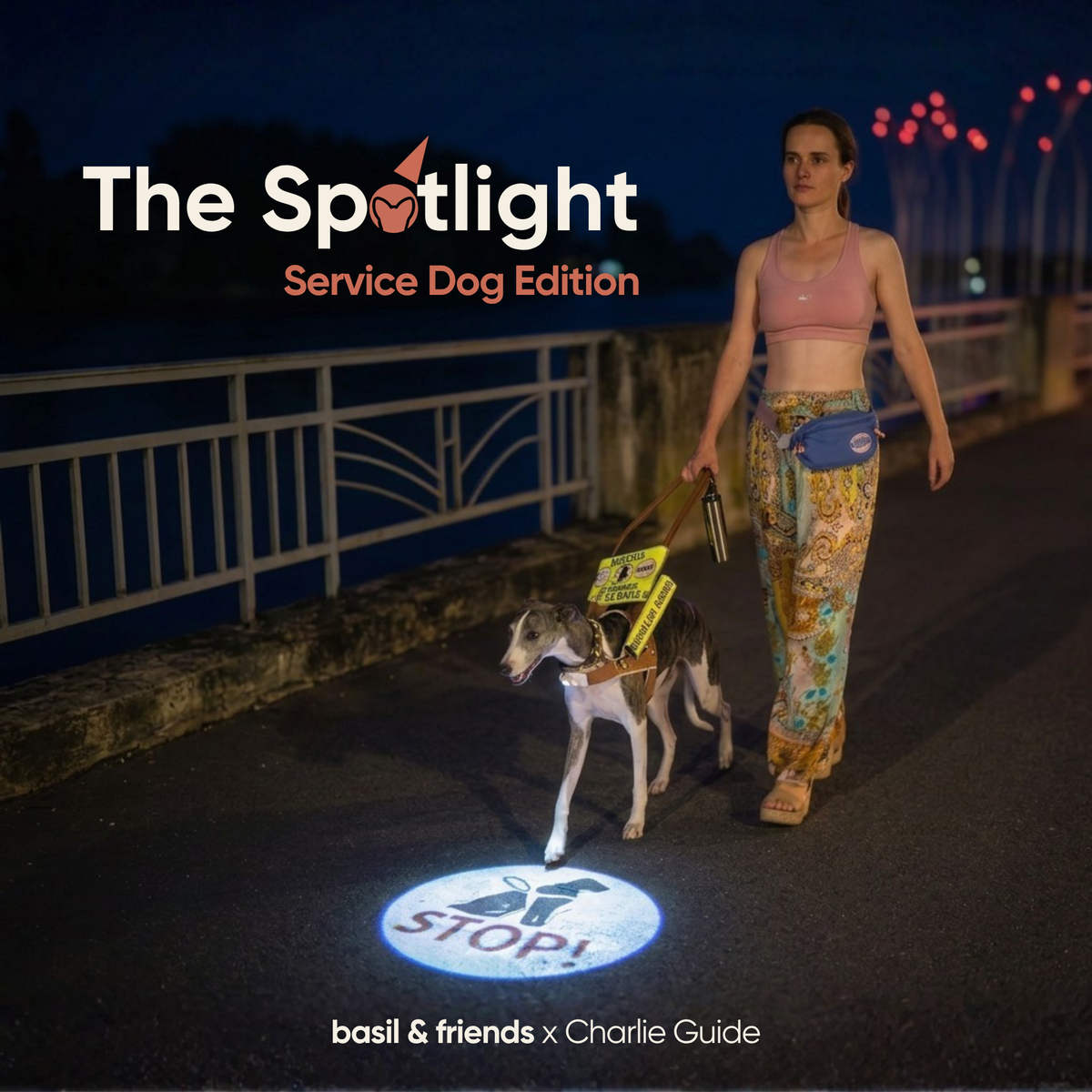 A handler walking a service dog at night using The Spotlight by basil and friends. The device projects a clear STOP sign on the ground to elegantly establish safe boundaries.