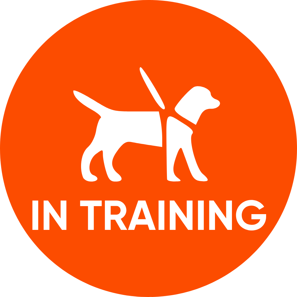 Service dog lens design: Orange circular sign with a dog icon and 'IN TRAINING' text for handlers and trainers.