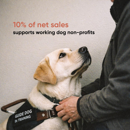 A handler petting a yellow Labrador guide dog in training. 10% of every Spotlight sale supports verified working dog non-profits.